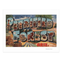 Arizona - Petrified Forest - Large Letter Postcards