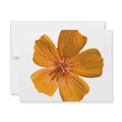 Arizona Poppy after rain Custom Invites by Harpalus22