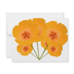 Arizona Poppy bouquet invitations