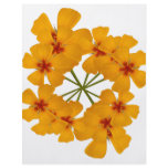 Arizona Poppy double bouquet flyers
