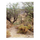 ARIZONA POSTCARD