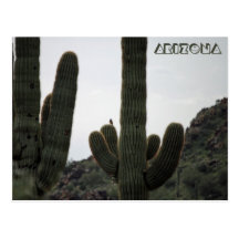 Arizona Postcard