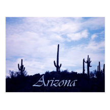 Arizona Postcard