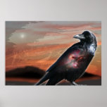 Arizona Raven
