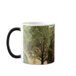 Arizona / Sedona Mug