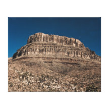 Arizona Stretched Canvas Print