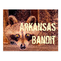 Arkansas Bandit Post Cards