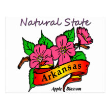 Arkansas Natural State Apple Blossom Post Card