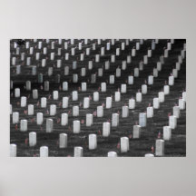 Arlington B&W Colour Flags Posters