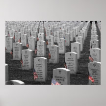 Arlington B&W Flags Colour Posters