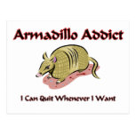 Armadillo Addict Postcard