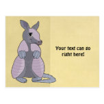 Armadillo Postcard