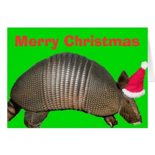 Armadillo Santa, Merry Christmas Greeting Cards