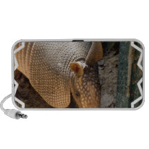 Armadillo Speakers