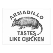 ARMADILLO TASTES LIKE CHICKEN POST CARD