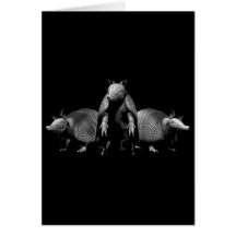 Armadillos Greeting Card
