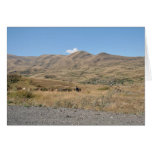 Armenian Hills (card) Cartoes