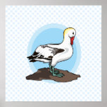 Arnold Albatross Posters