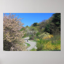 Arnold Arboretum in Spring Posters