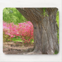 Arnold Arboretum Spring Colours Mousepad