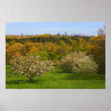 Arnold Arboretum View from Peter's Hill in Spring Print