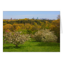 Arnold Arboretum View to Boston from Peter's Hill Greeting Cards