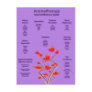 Aromatherapy Chart in Lavender