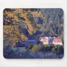 Around the world 91 mouse pad