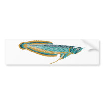 arowana bumper sticker
