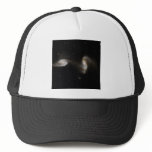 ARP240 Interacting Galaxies for Dad Mesh Hats