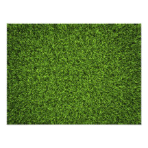 Arrière - plan d'herbe photo d’art