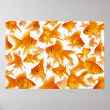 Arrière - plan montrant un grand groupe du poisson poster