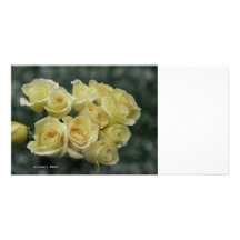 Arrière - plan repéré par bouquet de rose jaune modèle pour photocarte