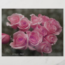 arrière - plan repéré par bouquet rose colorized p prospectus