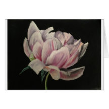 Arrière - plan rose de la pivoine w/Black Carte De Vœux