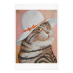 arrogant  cat stationery paper