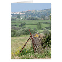Arrow and Town Card cards