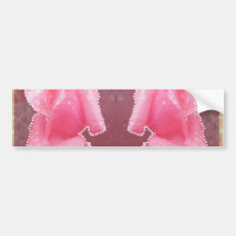 ART101 Sensual Rose Flower Bumper Sticker