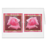 ART101 Sensual Rose Flower Greeting Card