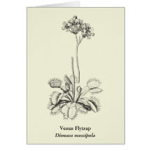 Art botanique de plante carnivore carte de vœux
