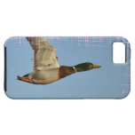Art de canard de Mallard de vol pour des amants de Coques iPhone 5 Case-Mate
