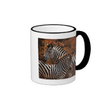 Art de safari de zèbre et de poulain mugs à café