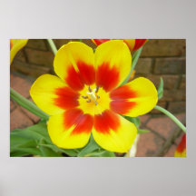 Art de tulipe posters