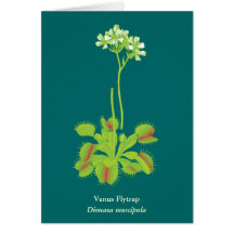 Art floral de plante carnivore cartes de vœux