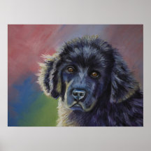 Art mignon de chiot de Terre-Neuve - Affiches