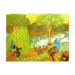 Art Nouveau Peacocks and Swans Postcards