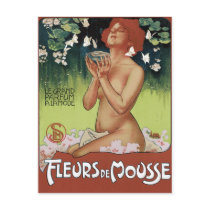 Art Nouveau Postcard - Fleurs de Mousse