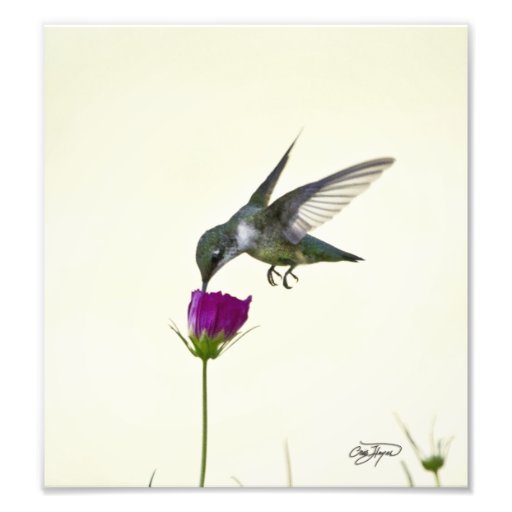 Art photographique d'ange en vol