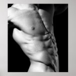 Art Poster #4 posters