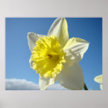 Art Prints gifts Daffodil Flowers Canvas Spring